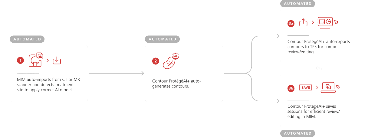Protege+-diagram-displaying-MIMs-automation-in-your-workflow